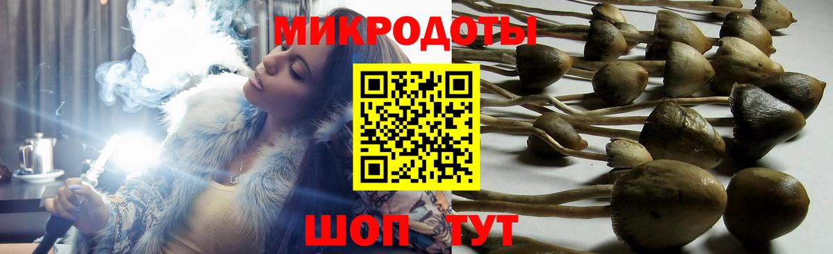 Галлюциногенные грибы мицелий  Псилоцибиновые грибы мицелий  Корсаков  Вход с VPN 